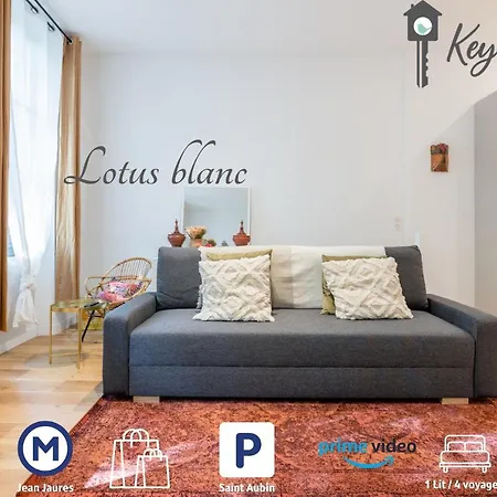 Appartement Le Lotus Blanc - Hypercentre A 10 Min Du Metro à Toulouse Extérieur photo